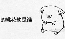 属猪的桃花劫是谁 与什么生肖不适合婚配