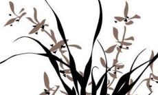 2022年12月9日冲煞生肖情况 特吉生肖查询