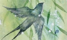 1987年2023年本命年运势 努力上进更加成熟