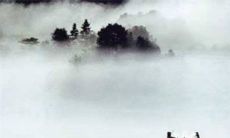 2022年12月7日大雪生肖运势:特吉生肖带衰生肖查询