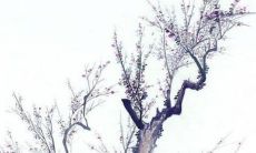 2022年12月10日属相运势与特吉生肖查询