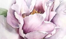 1987年兔本命年2023年十年大运 财富事业运势长虹