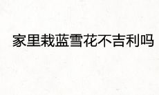 家里栽蓝雪花不吉利吗 能不能旺财