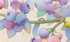 2023年本命年能结婚吗 稳定经济挑选吉日