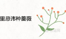 为什么家里忌讳种蔷薇 旺宅又旺财的植物
