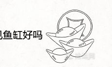 入户门进门看见鱼缸好吗 鱼缸的最佳摆放位置