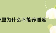 家里为什么不能养睡莲 会旺宅吗