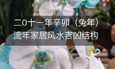 二0十一年辛卯(兔年)流年家居风水吉凶结构化解方法