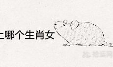 鼠男容易爱上哪个生肖女