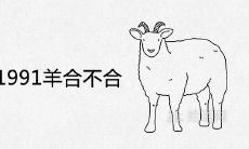 1984鼠和1991羊合不合