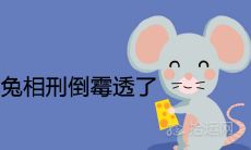 84男鼠和87女兔相刑倒霉透了为什么