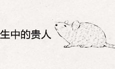 84年女鼠一生中的贵人