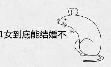 84男鼠和91女到底能结婚不