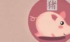 83年猪男和87兔女水火不容吗 在一起后的婚姻怎么样