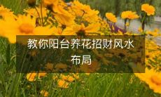 教你阳台养花招财风水布局