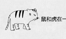 鼠和虎在一起旺财运吗