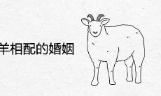 79羊与79羊相配的婚姻如何