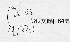 82女狗和84男鼠2021婚姻状况 婚配结婚的结局