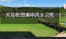 天花板图案中风水玄机