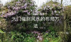 大门催财风水的布局方法