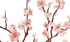 2021年下半年开张大吉日子一览表 最吉利的开店日