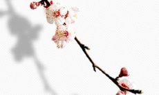 2021年下半年店铺开张吉日有几天 最好的开张好日子