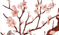 2021年最佳开张好日子 吉利的店铺开张日查询