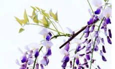 2021年阴历八月不适合开张的日子有哪些 不适合做生意的几天