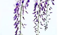 2021年阴历九月不适合开张的日子有哪些 以下几日不宜做生意