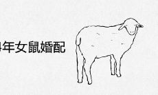 79年羊男84年女鼠婚配好吗