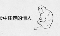 属猴人命中注定的情人