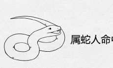 属蛇人命中注定的情人