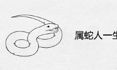 属蛇人一生的贵人