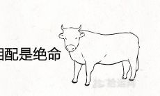 85牛女91羊男相配是绝命 在一起婚姻会怎么样