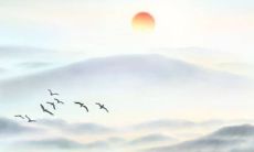 2022年5月属蛇最好动土吉日查询 吉利动土日子