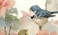 生肖鼠2022壬寅年公历5月适合动土的好日子 建房讲究