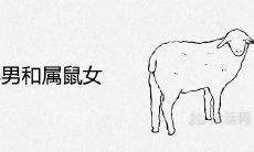 属羊男和属鼠女注定就不好吗 结婚后的婚姻结局