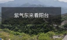 紫气东来看阳台