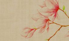 生肖属马2022年4月适合动土好日子 动土好日子讲究