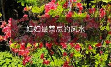 妊妇最禁忌的风水