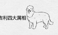 2022年虎年最吉利的四大属相