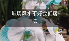 玻璃风水不好会低落EQ