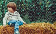 95年猪适合哪年生孩子 最佳添丁年份