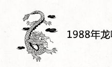 1988年龙哪年开始转运
