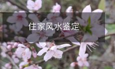 住家风水鉴定