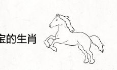 2022必生男宝宝的生肖