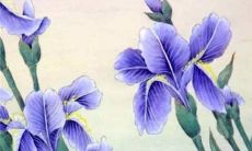 22虎年12月属狗人事业运分析 顺风顺水成就非凡