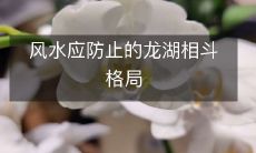 风水应防止的龙湖相斗格局