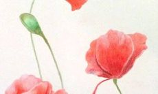 属相猴22年12月事业运势如何 细心谨慎蒸蒸日上