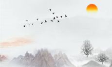 2023年生肖龙的幸运色 一帆风顺心想事成